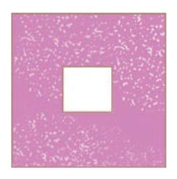 Figure it Out (Page 223 - 230) Ques 5 Chapter 9 Class 6th NCERT (Ganita Prakash)